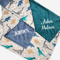 Dinosaur Baby Blanket